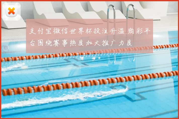 支付宝微信世界杯投注升温 购彩平台围绕赛事热度加大推广力度