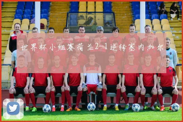 世界杯小组赛荷兰2-1逆转塞内加尔