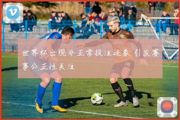 世界杯出现非正常投注迹象 引发赛事公正性关注