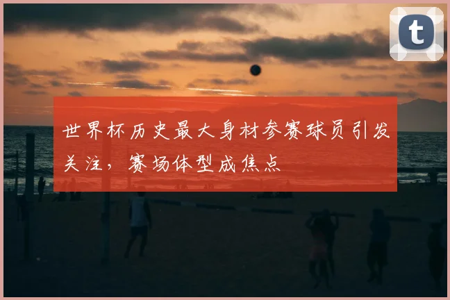 世界杯历史最大身材参赛球员引发关注,赛场体型成焦点