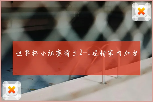 世界杯小组赛荷兰2-1逆转塞内加尔