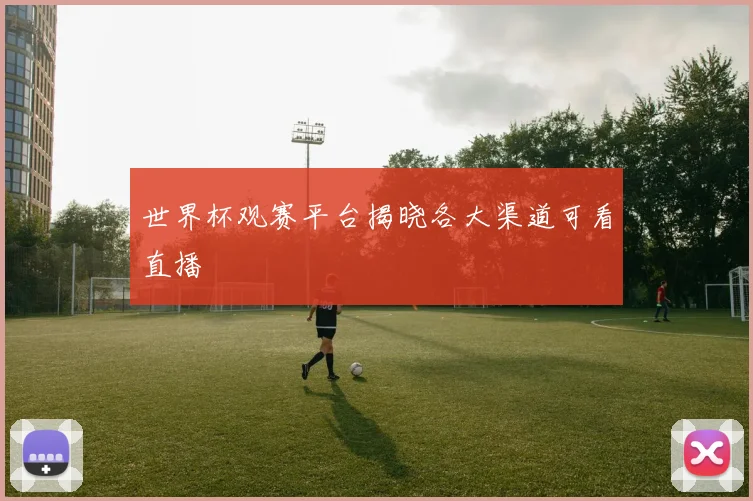 世界杯观赛平台揭晓各大渠道可看直播